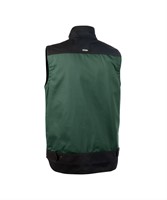 DASSY Faro 350077 PESCO 61 -1