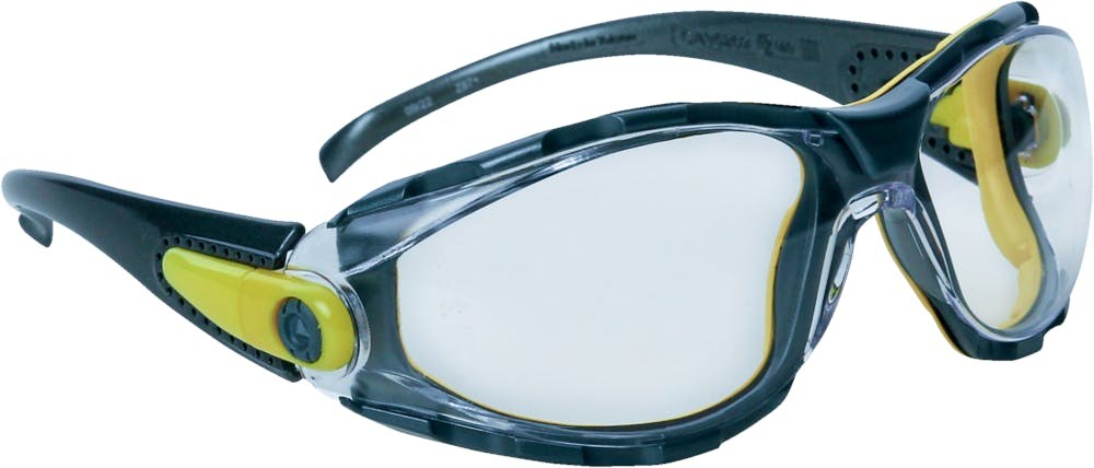 [PACAYBLIN] Delta Plus PACAYA CLEAR POLYCARBONAATBRIL UIT EEN STUK